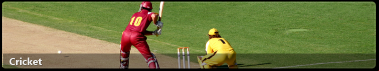 Cricket